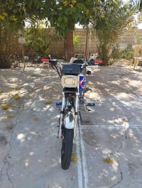 ساڤین • ٢٠١٩ • اوراق اصولية