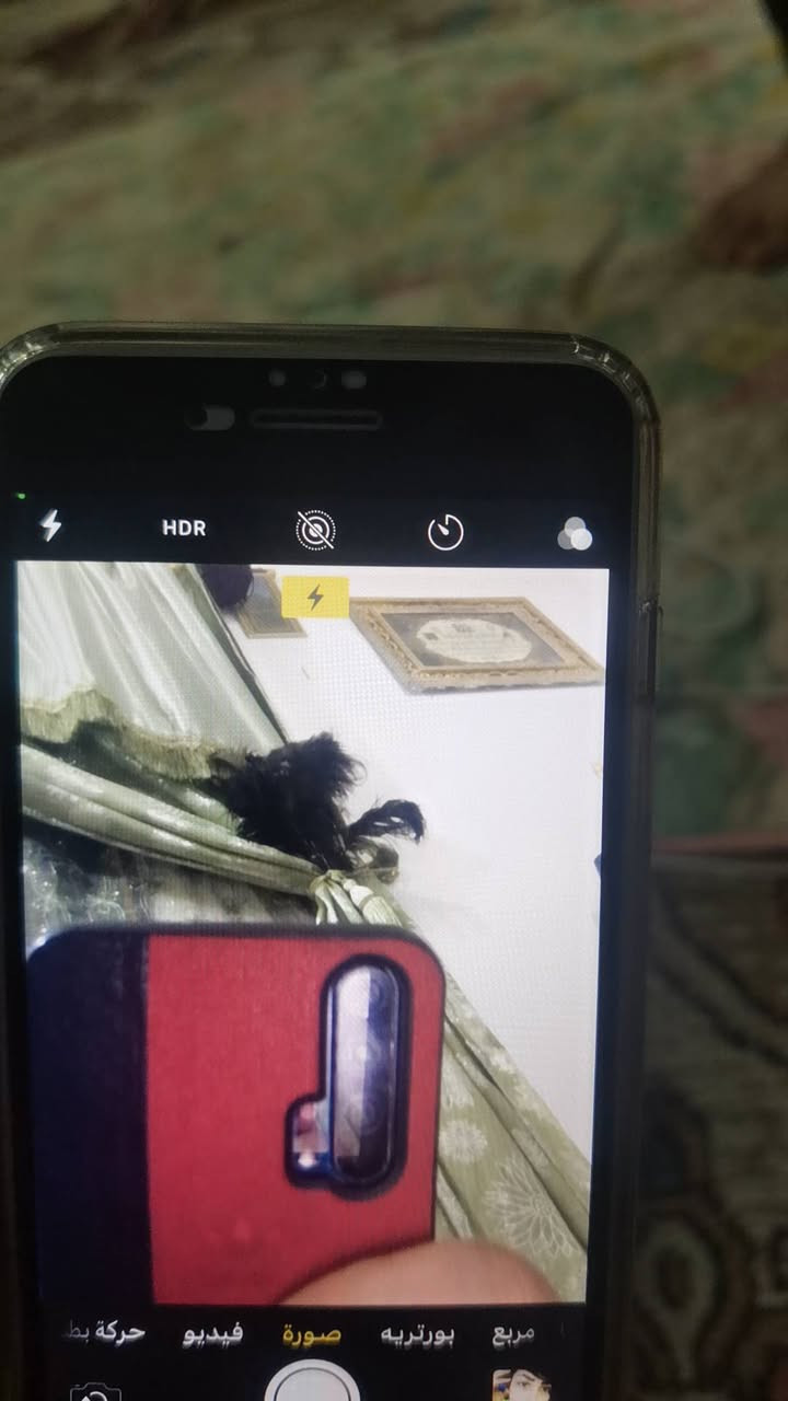 ايفون سفن بلاص لبيع مستبدل شاشه وبطاريه وكاله صرف انسه اصلن ذاكره 32صوت تصال كمرات كله شغال بس دكم تعلي وتنصي يحتاج شريط دكم بصمه شغاله كلشي شغال


**إذا كنت صاحب هذا الإعلان وتريد حذفه لأي سبب، رجاءا أرسل رسالة إلى الدعم الفني**