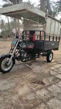 ستوته • مديل 14 • اوراق راعيه