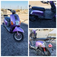 دراجتين • ماكس ٥٥ • بوليسي ٤٩