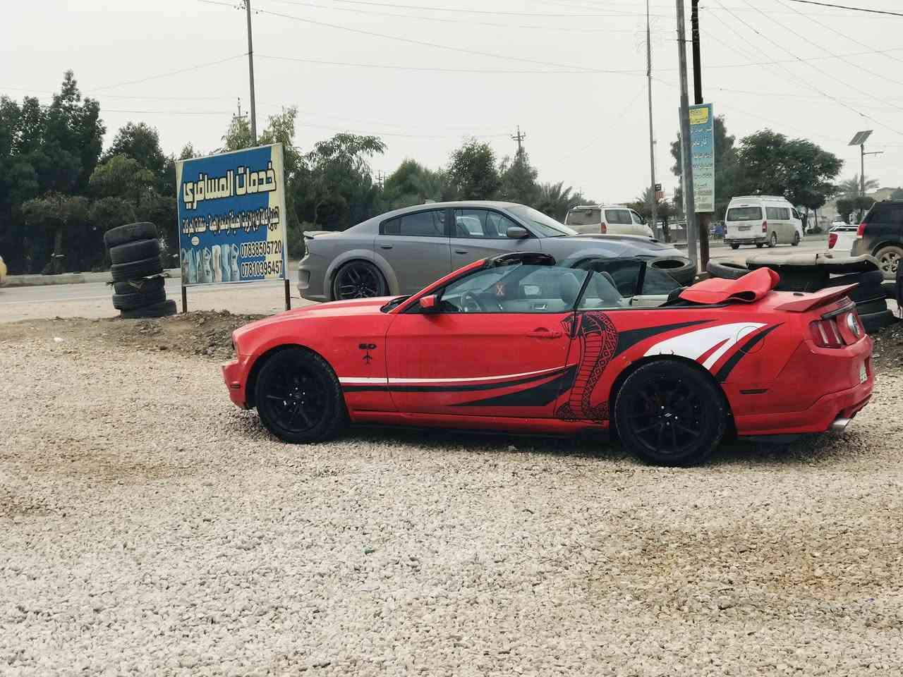 السلام عليكم موستنك موديل 2010  رقم بغداد سنويه 2026 نهايه السنه سياره فول مواصفات !
_تحكمات ستيرن 

_كشنات كهرباء جلد 

_تبريد تدفئ

_لايتات زنون 

_فتح جنطه كهرباء عسويج

_ مانع انزلاق

_ سستم صوت 

_ شاشاه اصليه 

_ اناره لد دشبول 7 الوان 

_مكينه كير كارتون6 سلندر مكينه 4000

_ سنتر لوك 

مصبوغه حزام جماليه حادثه جاملغ اماميه بدون دواخل مكاني بابل مركز المدينه عليه غرامات ٦٠٠ ينزلن من سعره السعر ٦٠ قفلل ***********
