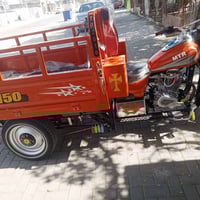 ستوته • مديل 2016 • أوراق كاملة