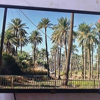 بلازما ٣٢ • سمارت • يحتاج تحديث