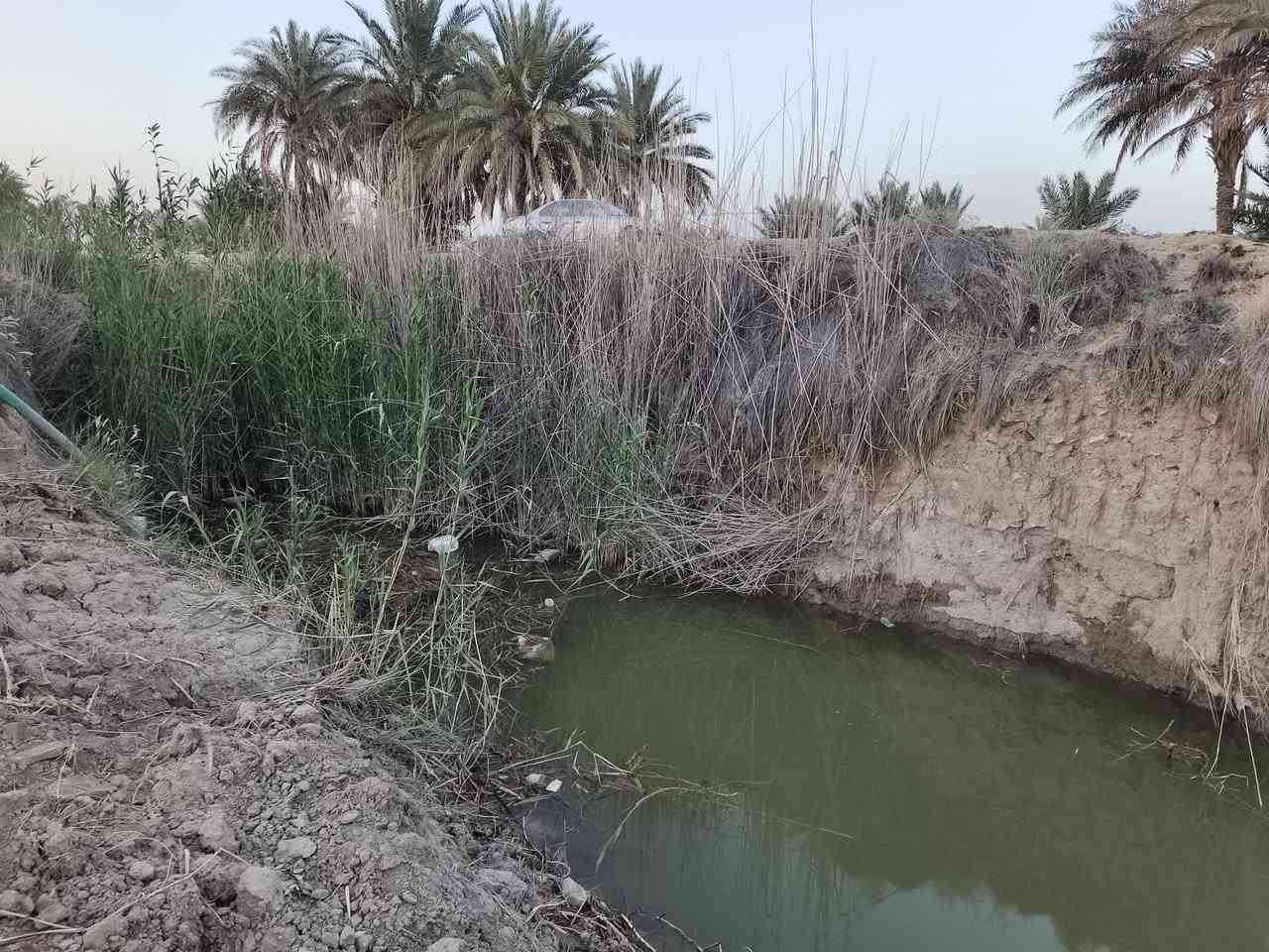 فرصة ذهبية لأرض مميزة في أرقى المواقع
موقع الارض حله بدبت منطقة ابراهيم الخليل عليه توجود كافة الخدمات بيه ماء لسقئ كهرباء تبعد عنه مسافه مكان هدوء وراقي من الجمال تصلح سكن وتصلح مزرعه تبعد عن الشارع العالم مسافة 3كليو وعن التبليط مسافه 500متر فقط
لاستفسار اكثر الاتصال
***********
***********
