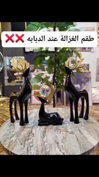 طقم الغزالة • جاليري رحيم • شارع خالد عبد الشافي