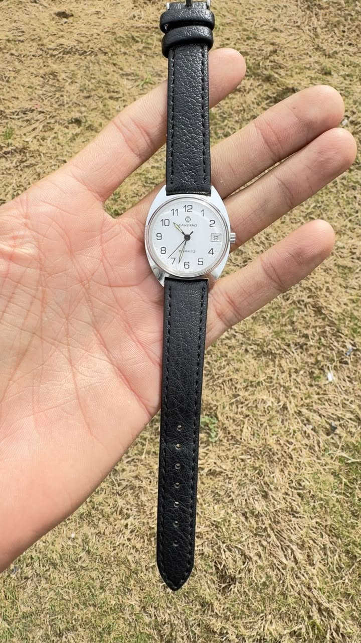 كاندينو ( السويسري المميز)
CANDINO
تعمل بنظام الكوارتز ( البطارية)
تحتوي على منفذ شهري 
ميل ضوئي 
نظافة ممتازة 

مزاد ينتهي وقت السحور 

توصيل لكل المحافظات


**إذا كنت صاحب هذا الإعلان وتريد حذفه لأي سبب، رجاءا أرسل رسالة إلى الدعم الفني**