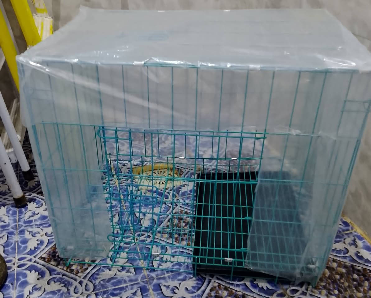 هلو اخوان اخوات عدي غراض لبيع والسعر خاص لو دزلي طلب صداقه مكاني كوت


**إذا كنت صاحب هذا الإعلان وتريد حذفه لأي سبب، رجاءا أرسل رسالة إلى الدعم الفني**