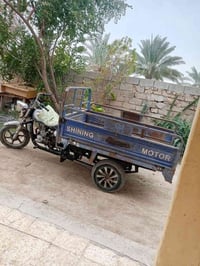 ستوته • أوراق ضايعة • محاويل