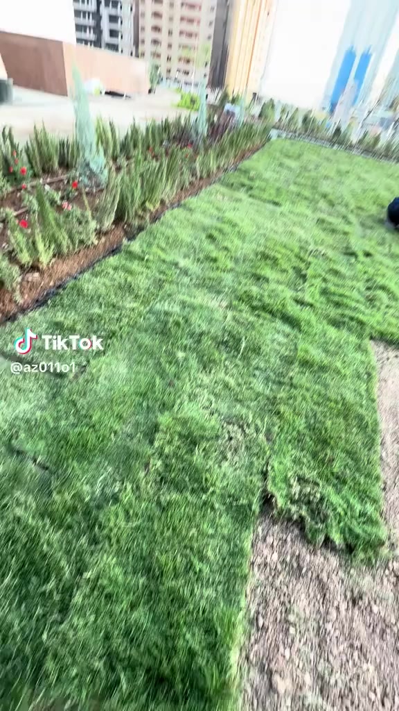 مزارع  الشمال للثيل الطبيعي 🍀
متوفر كافة انواع الثيل 🍀
( امريكي - الهندي - الايطالي - الفرنسي )
لتجهيز... مشاتل🌴
والدوائر حكوميه🏦
منازل🏡 
منتزهات🏄
موجود خدمة توصيل 🚕
لكل محافظات العراق 🚕
للطلب يرجى التواصل مع الصفحة او مراسلة واتساب او الاتصال على :
*********** ***********
