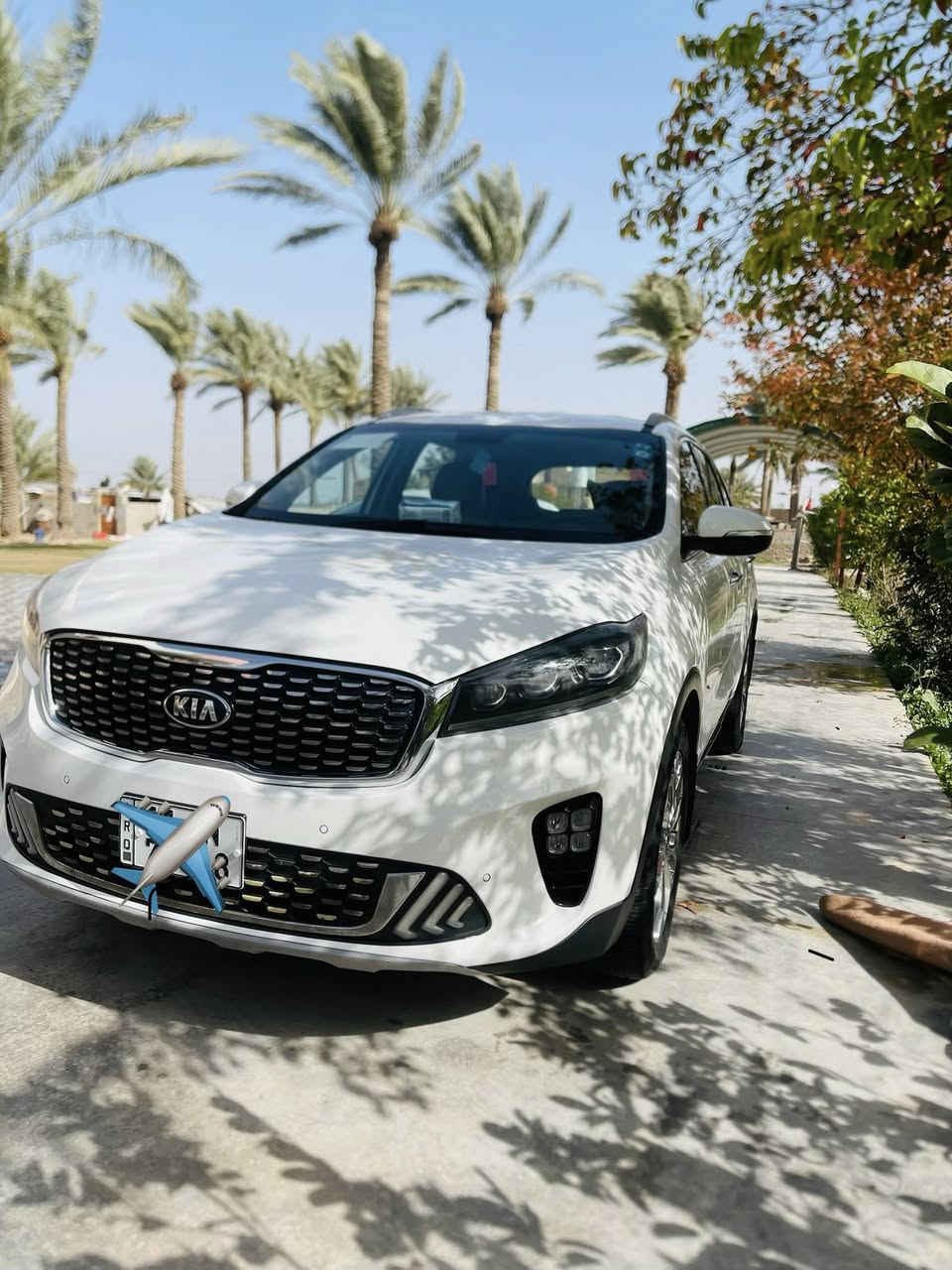 السلام عليكم
سورنتو 2020 كفاله عامه 

السونار مرفق بالمنشور 

رقم بغداد بسمي مداور ثاني يوم 

مكان السياره بابل 

فول مواصفات عدا البنراما 

ماشيه 63 

للاستفسار ***********
