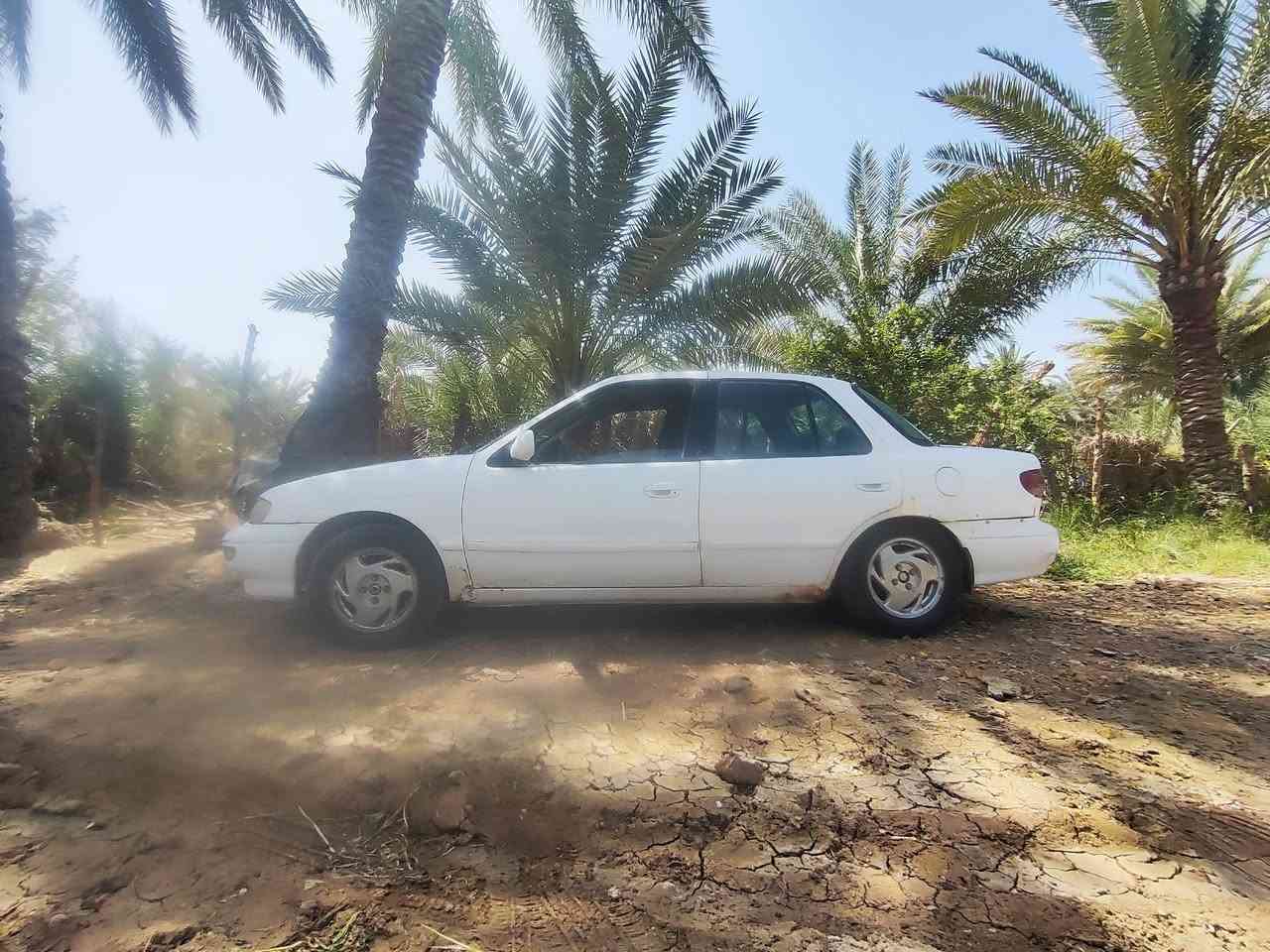 سيفيا 96رقم بغداد الماني تحويل مباشر مكينه مسكر گير عادي نضيفات كهربائيات شغاله تخم تاير الگشر كما موضح بالصور العنوان واسط النعمانيه السعر 33 وبيها مجال ***********
