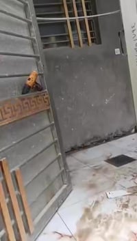 شقة • الدورة شارع الجنابي • غرفة وصالة