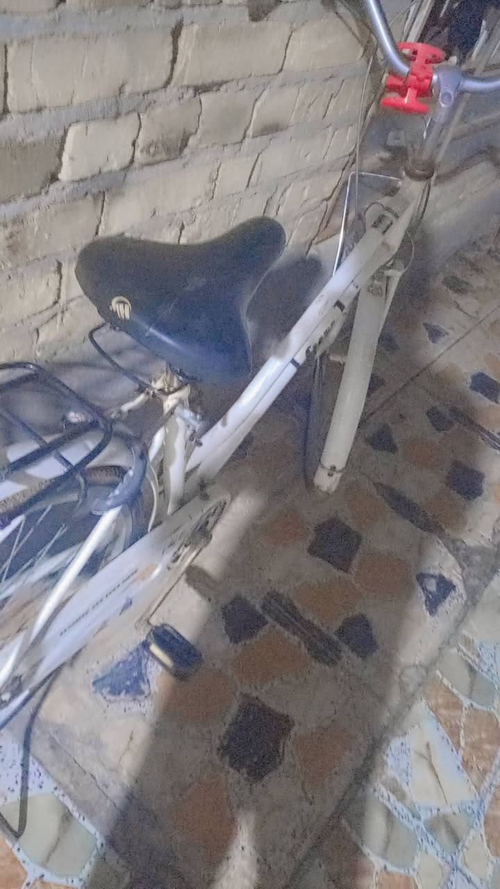 سلام عليكم بيسكل اخت جديد تجي و وتشوفه حلو حجم 206 بسعر 120
مكاني ميسان حي العسكري قرب مدرسة المربد مرسله على خاص


**إذا كنت صاحب هذا الإعلان وتريد حذفه لأي سبب، رجاءا أرسل رسالة إلى الدعم الفني**