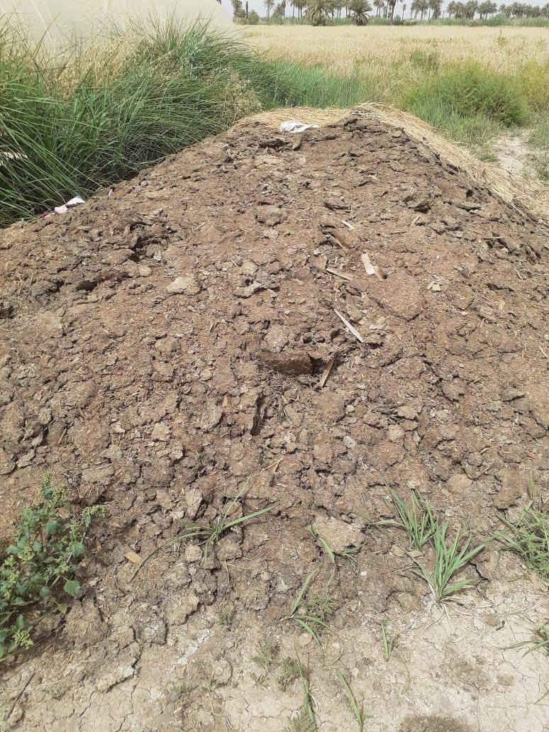 سلام عليكم متوفر دمن دجاج (دواجن)نضيفات درجة اولا مثل ماموضح بل صوره بيهن كيا محجر وربع وذا بيهن زايد الك  السعر 250وبيهن مجال حك جيه  بصيط لعنوان لطيفية كيلو 25واهذ رقمي متواجد جد فيس وعله رقم افضل #الجميع 
*********** مصطفى حسن
