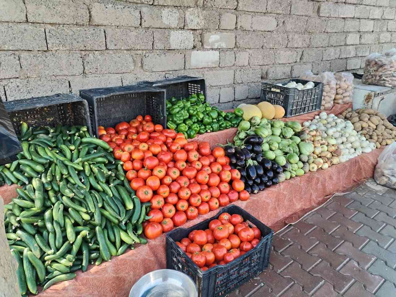 سلام عليكم
مسواگ جديد ونضيف 
وسعار حيل مناسبه 
الموقع مقابيل جامع الحجي ضاهر 
وحي الله بل معاميل


**إذا كنت صاحب هذا الإعلان وتريد حذفه لأي سبب، رجاءا أرسل رسالة إلى الدعم الفني**
