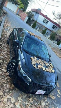 ٢٠٢٤ • أسود • SV