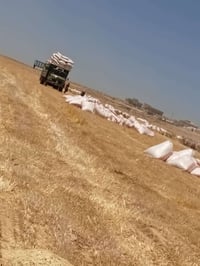 تبن • للبيع