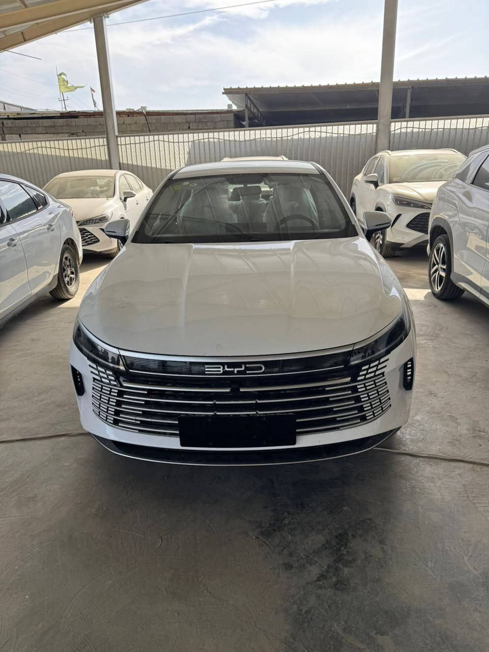 عروض اليوم على جميع انواع byd مباشر من الصين 🇨🇳 الى العراق من قلب مخازننا
البيع جمله ومفرد 
الاسعار تنافسيه اتصل وتدلل انسب الاسعار على السعر القديم 

🔴بي واي دي دسترويرBYD موديل 2025 نار 🔥 
🔴بي واي دي كن بلاص BYD موديل 2025 🔥 
🔴بي واي دي سيل BYD موديل 2025 🔥
بي واي دي 2025 سونك L فول الفول
بي واي دي 2025 سونك بلاص فول الفول 
الاسعار جدا مناسبه
جميع انواع السيارات تحتوي على كافة ملحقاتها كاعيات اصليه وكارت وشاحن اصلي 
        زورونا واهلا وسهلا بكم
يتوفر كافة انواع byd😍
               
للاستفساراكثر اتصل على الأرقام التالية
🥰🥰🥰🥰☎️☎️☎️☎️
***********  ابو زياد
***********   عمر
📍الموقع بغداد اليوسفية الطريق السريع الدولي
(((شركة ديار الكرم)) maps/waze 📍#BYD #bydبغداد #العراقيين
#BYDIraq
#متابعة
#BYD#. #بغداد
