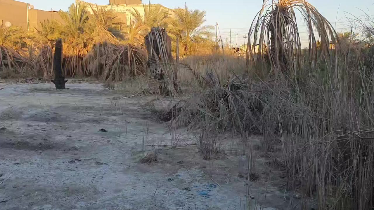 #عرض_مميز_يصلح_استثمار_او_
مشورع سكني

#ارض_زراعيةللبيع2000متر_حي_النفط_فرع_ابوالحسكة_تبعد_

الشارع_العام80متر_وعن_فلكة_حي_النفط100متر

للتفاصيل تصال رقم ***********
