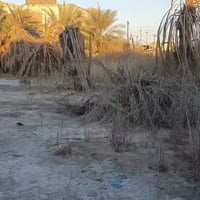 أرض زراعية • ٢٠٠٠م • حي النفط