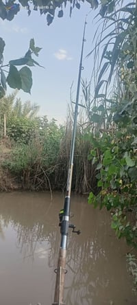 سناره • نضيفه • بيها مجال