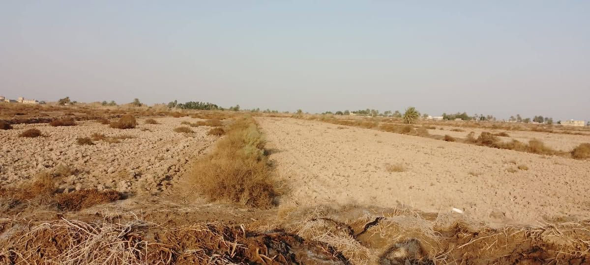 ارض زراعيه للبيع عد ال عواد الرعده مساحة الارض سبعه دونم ماي متوفر/ وسأله وكهرباء وطريق ومسكه رسمي مثبت  للكاع   

للتواصل والاستفسار ***********
