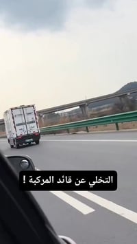 صينية • ذاتية القيادة • نقل وشحن