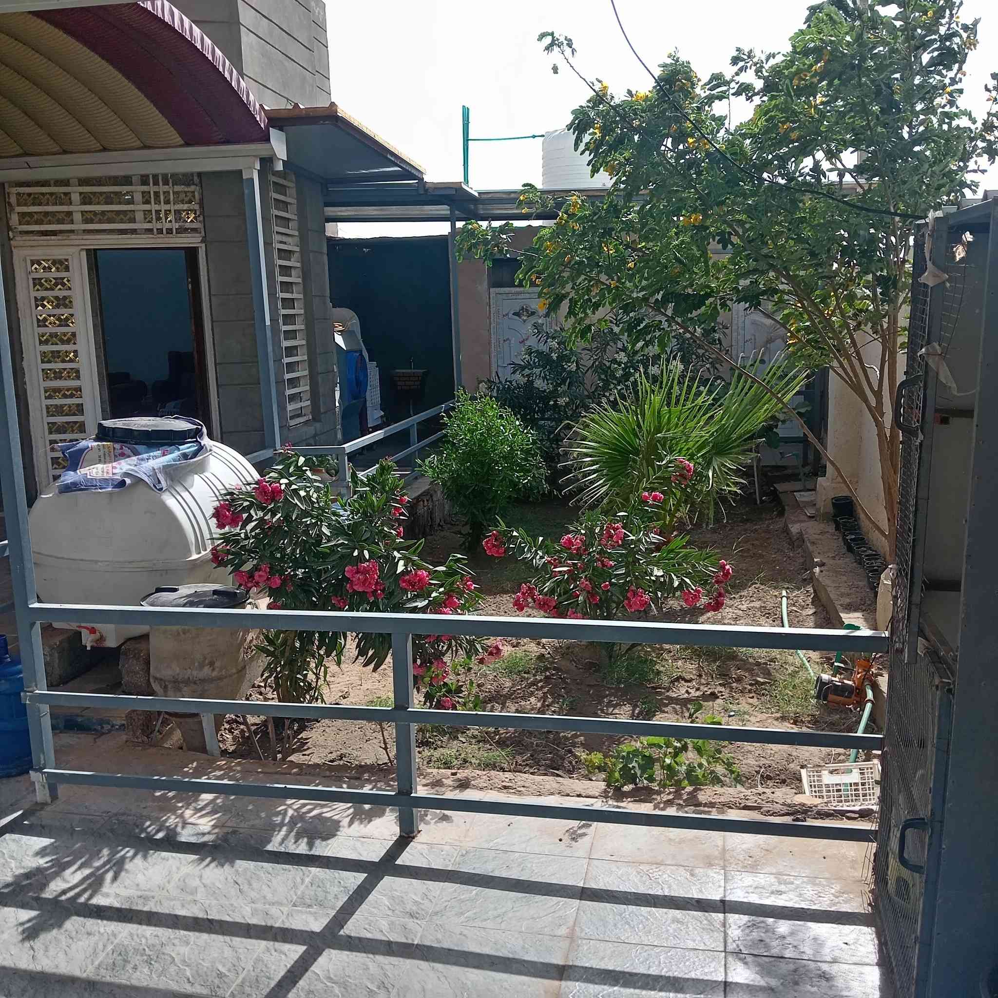 بيت جديد للبيع على طريق السنيه دونم ونص بناء 3غرف وصاله مطبخ واستقبال وحمام طارمه حلوه تفاصيل أكثر على رقم *********** واتسب
