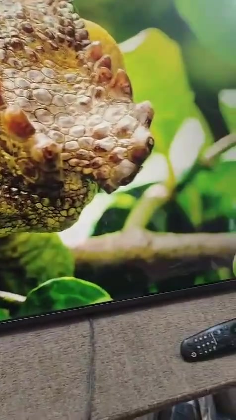 📺 LG 55NANO80VNA (إندونيسي)
• شاشة 4K Ultra HD بدقة ‎3840×2160‎. 
• تقنية NanoCell لألوان أنقى وأكثر دقة.
 • معالج α5 AI Processor 4K لتحسين الصورة والصوت.
 • نظام webOS الذكي مع دعم تطبيقات Netflix وYouTube وغيرها. 
• دعم HDR10 وHLG مع معدل تحديث 60Hz.

💰 السعر: 425,000 دينار عراقي 🛡️ ضمان: 6 أشهر

📍 العنوان: بغداد – الأمين الثانية 📞 ***********
