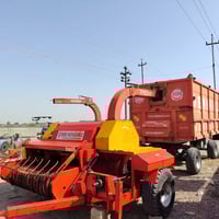 عدد ٢ • بلا لحيم • ديالى