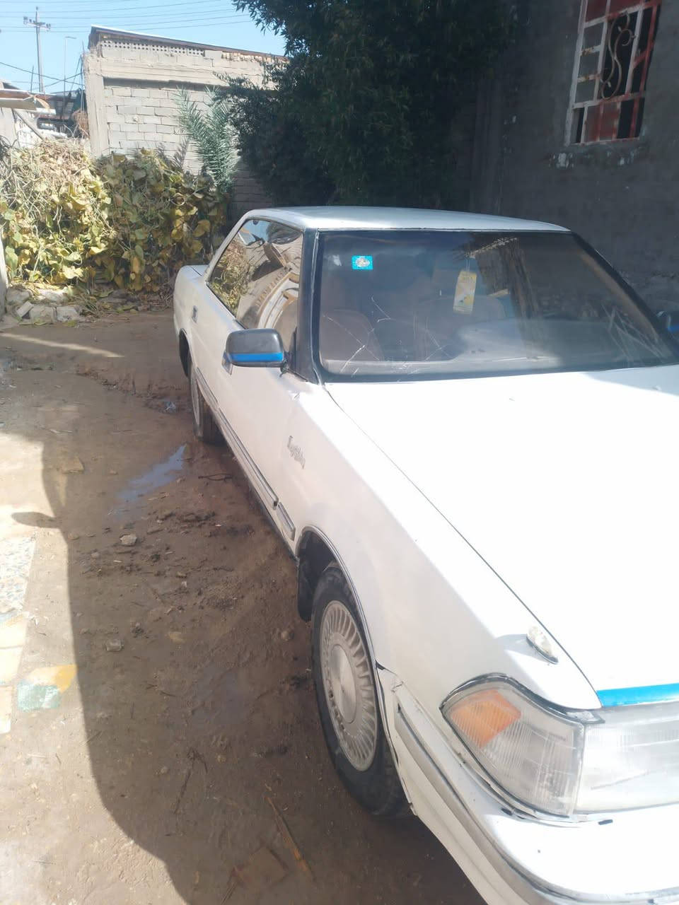 يا الله السلام عليكم هارتوب للبيع  1991 مكفول كص ونقل واصوليات بأسمنه مداور ثانيوم رقم ميسان انكليزي سنويه لل30 حداديه جديد تخم تاير جديد باتري جديد مكينه وكير مكفولات مكينه ونجي سياره ماعايزه السعر 30$
المكان النجف قضاء المشخاب
رقم  الهاتف ‏‪***********‬‏
واتساب موجود
