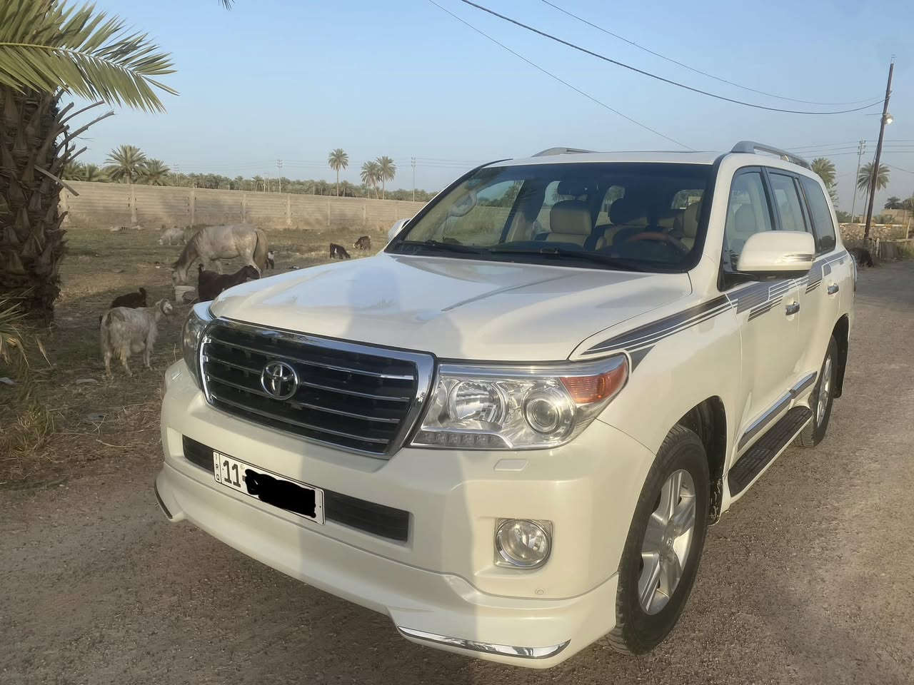 لاندكروزر ابيض صدفي موديل 2012 بريم بغداد جديد باسمي شخصيا ماشية السيارة جوه الميه حقيقي مال جناي استخدام قليل 6 سلند فول مواصفات كشن جلد كهربائي ثلاث مرات للاستفسار الاتصال على الرقم *********** مكاني رمادي
