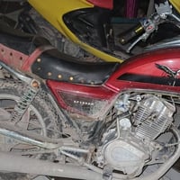 جونده • رقم وسنوية • تحويل ثاني يوم