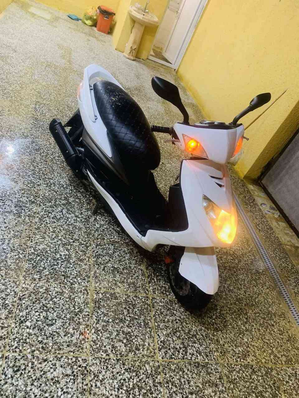 سلام عليكم شباب سكنس فحل نازله من الرمبه صاله 3 اشهر بيه بس الدشبول طافي وهاهيه دراجه تخبل نكر شوكت ما جان أو مراوس دراجه ايرانيه نضيفه السعر 750 وبيه مجال تواصل *********** واتساب متوفر وبيك خير وتدلل
