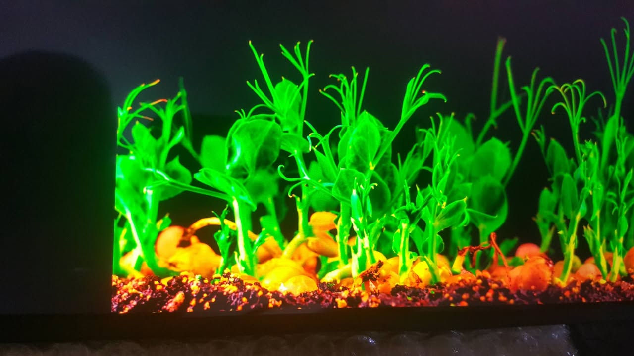 سلام عليكم شاشة غريبة مستطيلة كبيرة حجم 14 انج الدقة 4k لمس مثل ماموضح بالصورة السعر خاص متوفر توصيل


**إذا كنت صاحب هذا الإعلان وتريد حذفه لأي سبب، رجاءا أرسل رسالة إلى الدعم الفني**