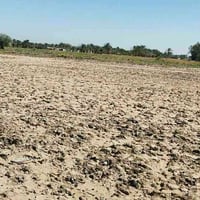 ورّة جسر العطشان • ١٢٥٠م • قرار محكم