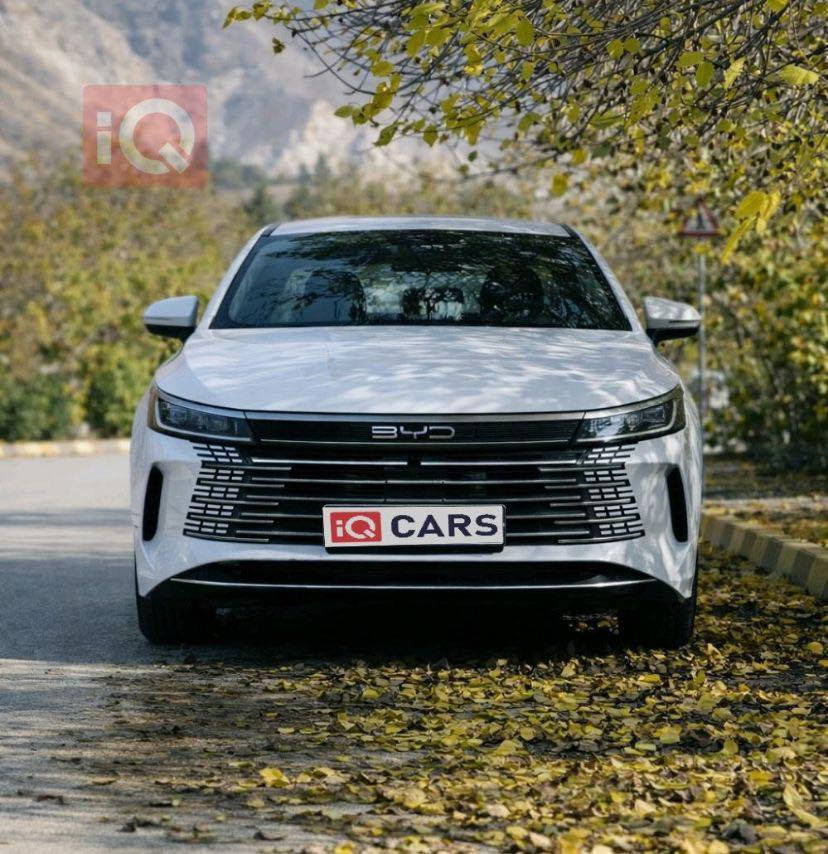 السلام عليكم
بي واي دي دستروير للبيع 

كفالة عامه 

اللون ابيض  

مرقمه بغداد

سياره ام البصمتين وكارت مميزت مال باركود

سياره محدثه اخر تحديث ومنزل جميع برامج وقنوات وراديو ويها كاعيات وسياره مكفوله من شخط  

السعر 19000

وسياره ماشيه 3000

سنويه باسمي مداور ثاني يوم 

المكان بغداد

رقم ***********
