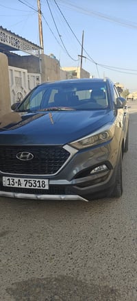 توسان • ٢٠١٧ • وارد امريكي
