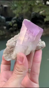 كونزيت طبيعي • ٢٥٠ غرام • أفغانستان