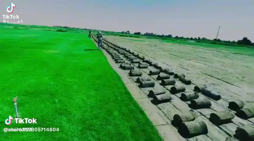 باسعار ثيل ديالى الطبيعي 🏡
أهلاً بكم في مجموعه مزارع ديالى لثيل الهندي الطبيعي 🌿🌱

 نقدم لكم افضل انوع الثيل الطبيعي عالي الجوده يتحمل كافه الضروف البيئية.🌦️🌞

دائم الخضرة🌿🌳 وباسعار تنافسيه وعروض مميزة ☘️❤️

#مستعدون لتجهيز وفرش الحدائق🏡 ودوائر الدولة🏡والمنازل🏡🏡

و تجهيز الملاعب🏟️ والمنتزهات بانسب الاسعار مع ضمان الجودة العالية في العمل👷👷

مع خدمة التوصيل خلال24ساعه🚛🚛  

الاسعار 💵💸 تختلف حسب الكمية 

للاستفسار الاتصال على : 

او التواصل مع الصفحه عن طريق ارسال رسالة على الوتساب او الاتصال📞‏***********
