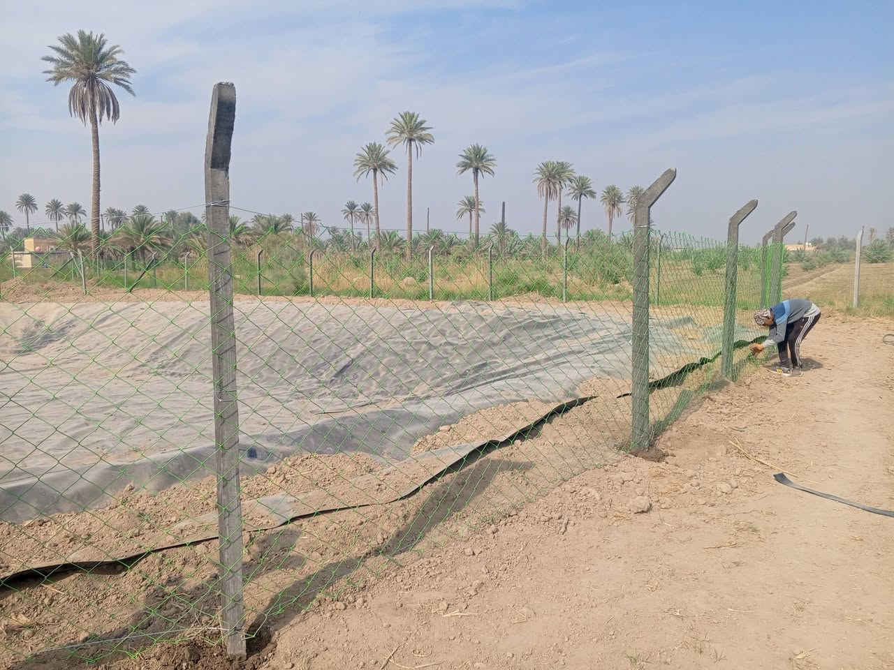 شركه بغداد لعمل ونصب السيجه البيارسي بنواعهه بأسعار تنافسية ***********

