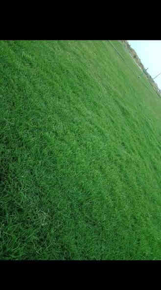 تخفضيات لفترة محدودة (بأسعار مناسبه وتنافسيه ) ✨❤️.                                       

انتاج خاص بمزارعنا.
حيث الجودة والسعر المناسب 

☘ثيل هندي إيطالي فرنسي طبيعي نوعية ممتازة🍀 
مناسب للاستخدام في ( المنازل🌳_ الحدائق🌳_ الملاعب🌳_ الدوائر🌿وتجهيز المشاتل) 

#سعر_تنافسي

✨ سعر المتر يختلف للكميات الكبيرة ✨

يوجد خدمة توصيل لجميع محافظات العراق 

#ملاحظة : التوصيل مجاني ❤️

(مستعدون لتجهيز الحدائق المنزليه و الملاعب الرياضيه و المنتزهات و الدوائر الحكومية بكادر مختص مميز يجيك لباب بيتك #بأسعار #تنافسيه )
🍁لمعرفة سعر المتر المربع التعليق ب "تم" سوف تصلك رساله 
🍁للاتصال او الاستفسار متوفر مفتوح طوال اليوم
***********
***********
