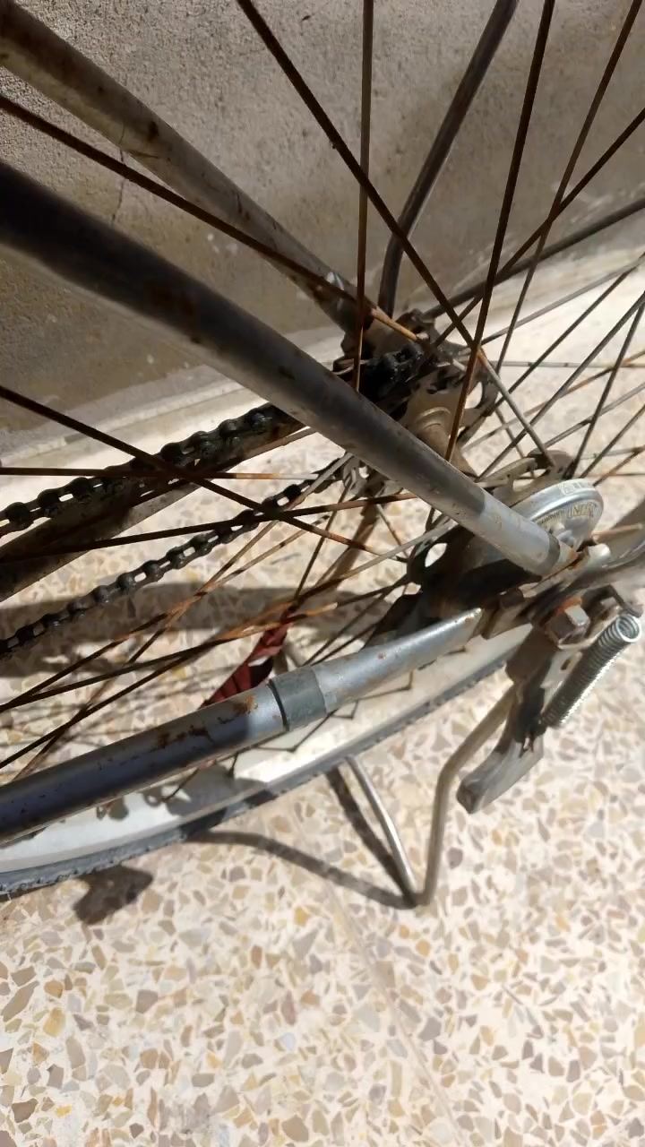 بايسكل للبيع السعر 60 وبي مجال مكاني الشوره قرب جامع الملامنصور بس التاير الجدام ممزوكه


**إذا كنت صاحب هذا الإعلان وتريد حذفه لأي سبب، رجاءا أرسل رسالة إلى الدعم الفني**