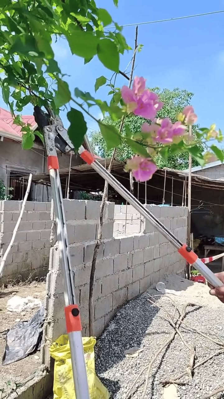 وللمزيد من المنتجات تابعونا
اذا كان لديكم اي استفسار راسلونا


**إذا كنت صاحب هذا الإعلان وتريد حذفه لأي سبب، رجاءا أرسل رسالة إلى الدعم الفني**