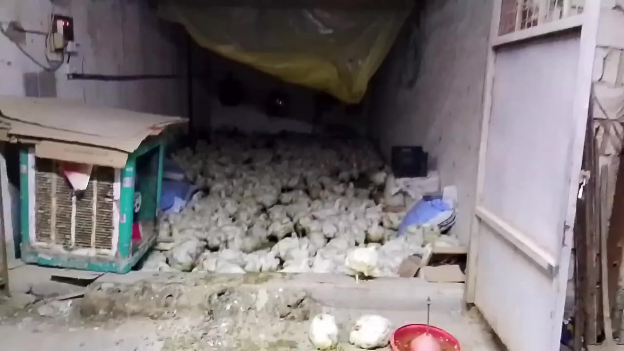 يعلن خان دجاج بركات القاسم عن بيع كيلو دجاج 2750بلاش2750بلاش العنوان مقابيل شارع التجاري بصوب ثاني يم عمود 740 سعر2750بلاش الحجز***********
