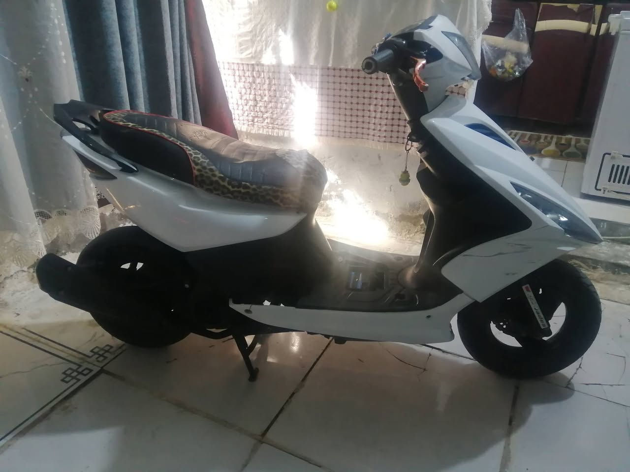 ،، ماكس ثعلب مراوس 11(***********
