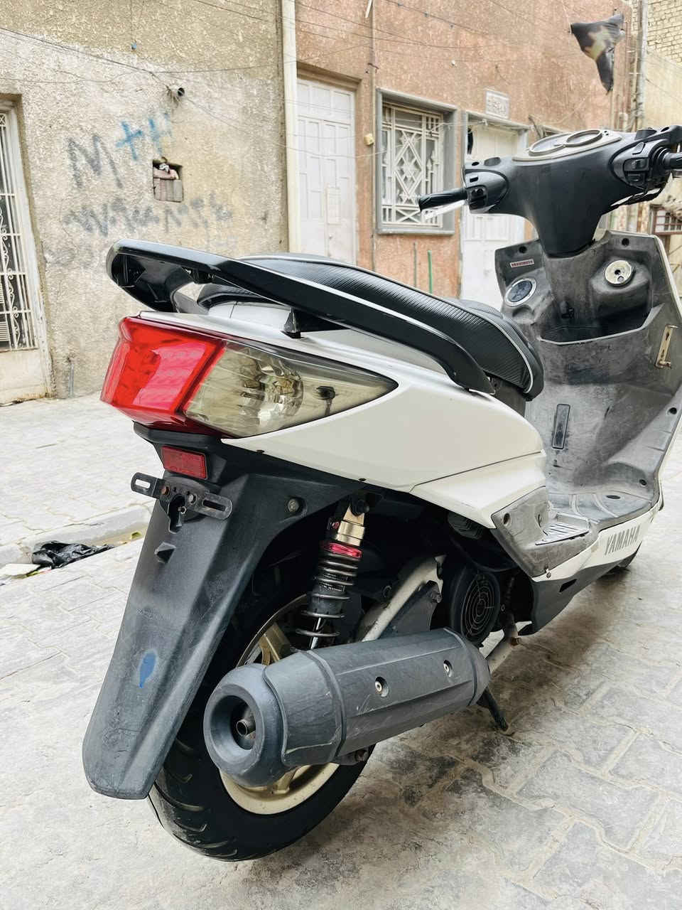 سلام عليكم سكنس فحل للبيع نوزل الدراجة رمبة كلجات رياضي دبلات رياضي دراجة نكرة سلف الدراجة خير من الله سعر 800 وبيها مجال 
لاتصال ***********
