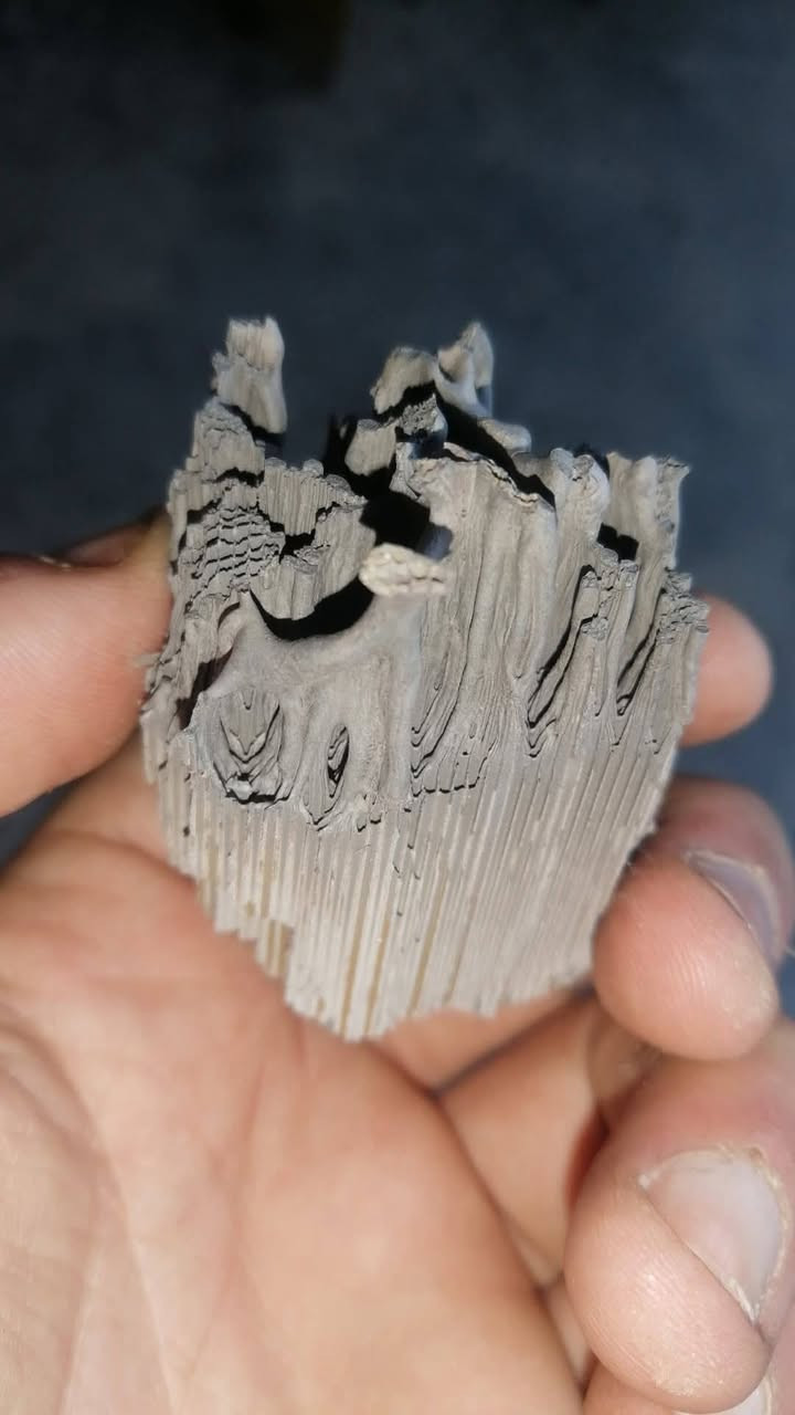 انسداد الحجر البيئه وعند تكون مسدد الحجر اعتبر السياره 🚗 انهجمت من وره البانزين 
جفت محرك 

يوجد لدينا كامره لفحص الحجر البيئه لكافه انواع السيارات 🚗 وتنضيف الحساسات صالنصات كاظم طياره باداره حيدر ابو كرار تبديل وتصليح ومتوفره جميع انواع الصالنصات اصلي محلي الموقع مجمع مشن مقابيل بانزين خانه الزيوت للستفسار ***********
