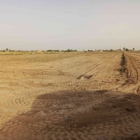 سعيدان • ٣ دونم • ارض زراعيه