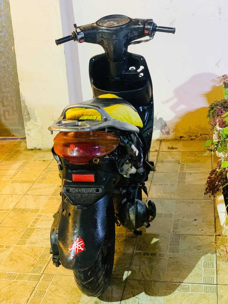 اكزز فحل شغالة 
دبلات وشاصي مكفول 
كهربائيات شغاله نقص بس كفر 
السعر/150 وبيها مجال لشراي 
حله مركز المدينة 
***********
